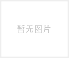 XRNM-12/200高压熔断器WKNHO熔断器系列型号 熔断器批发价格